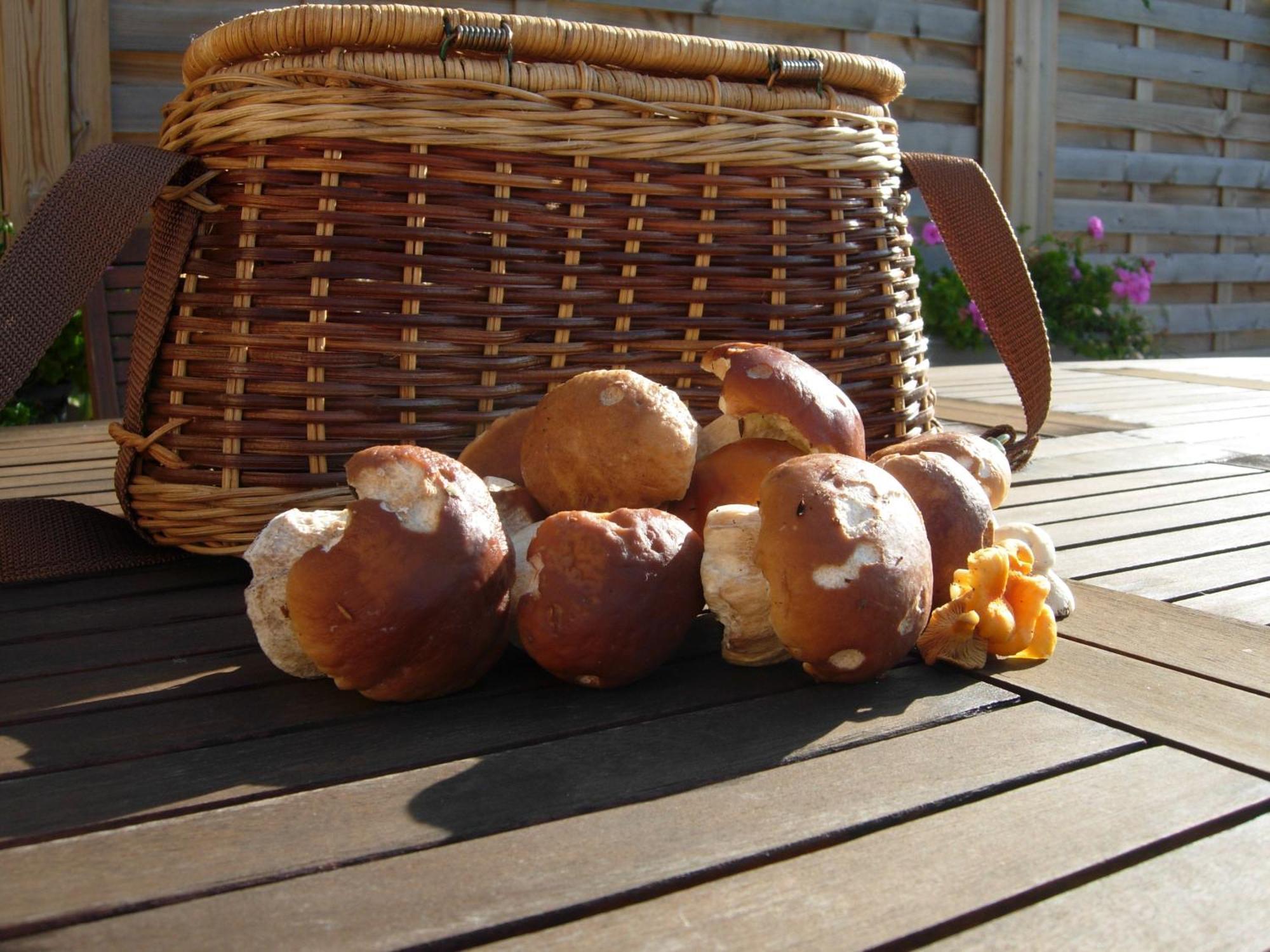 Les Grands Pres Bed and Breakfast Geney Εξωτερικό φωτογραφία