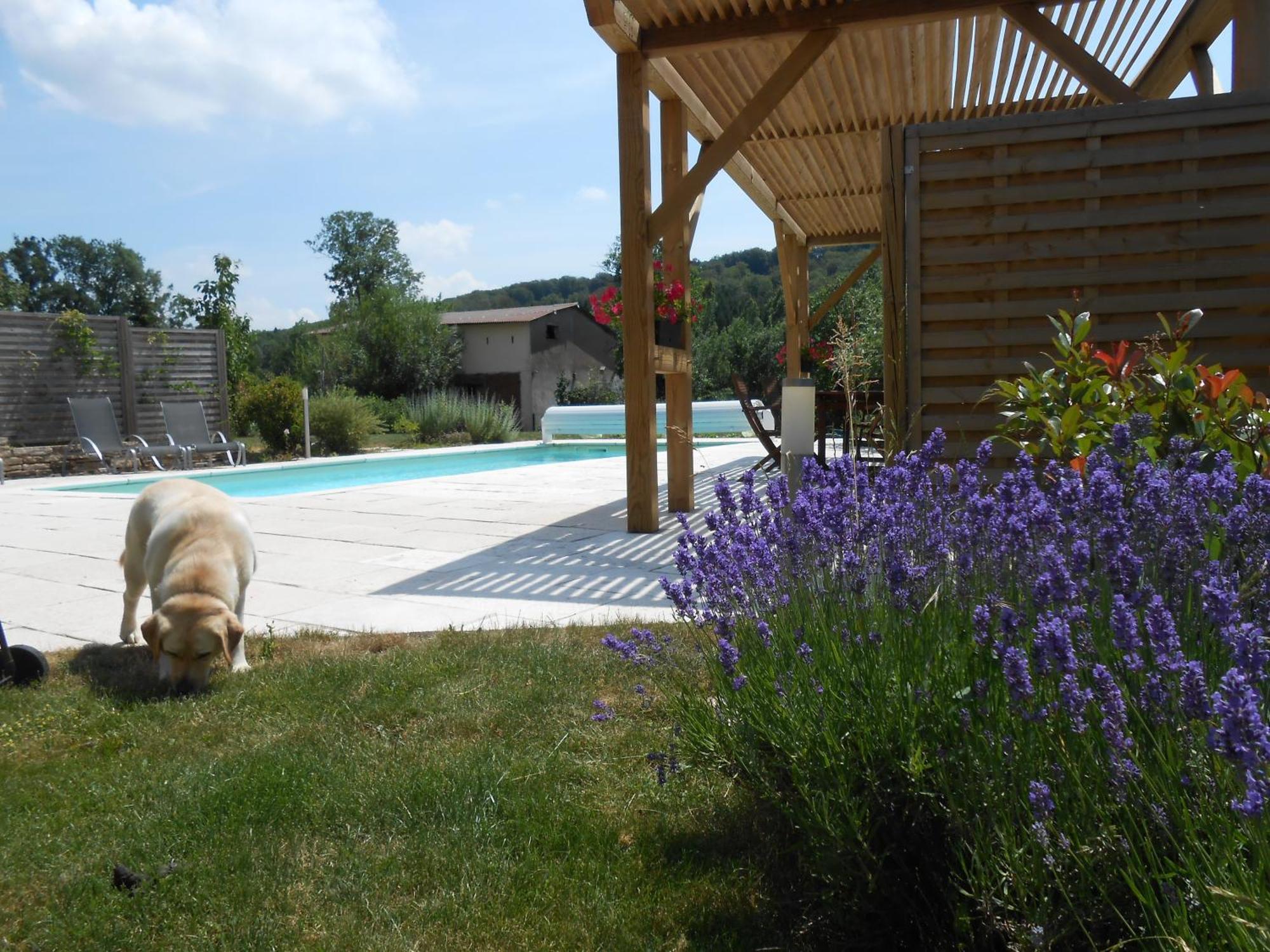 Les Grands Pres Bed and Breakfast Geney Εξωτερικό φωτογραφία
